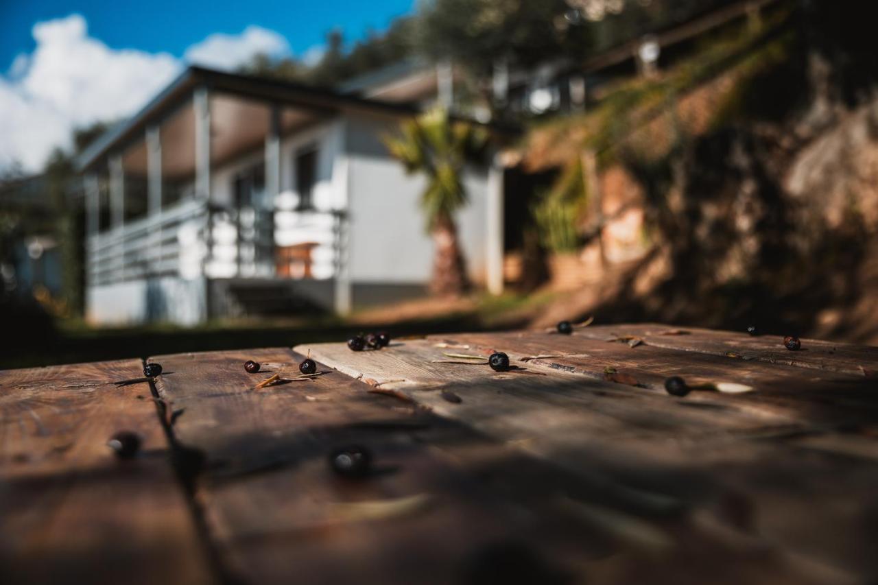 Agriturismo Rose Di Pietra Pietra Ligure Eksteriør billede
