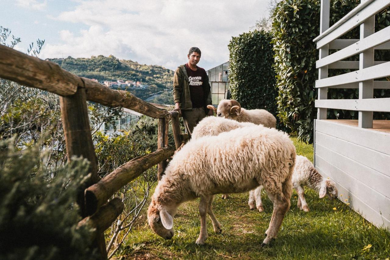 Agriturismo Rose Di Pietra Pietra Ligure Eksteriør billede