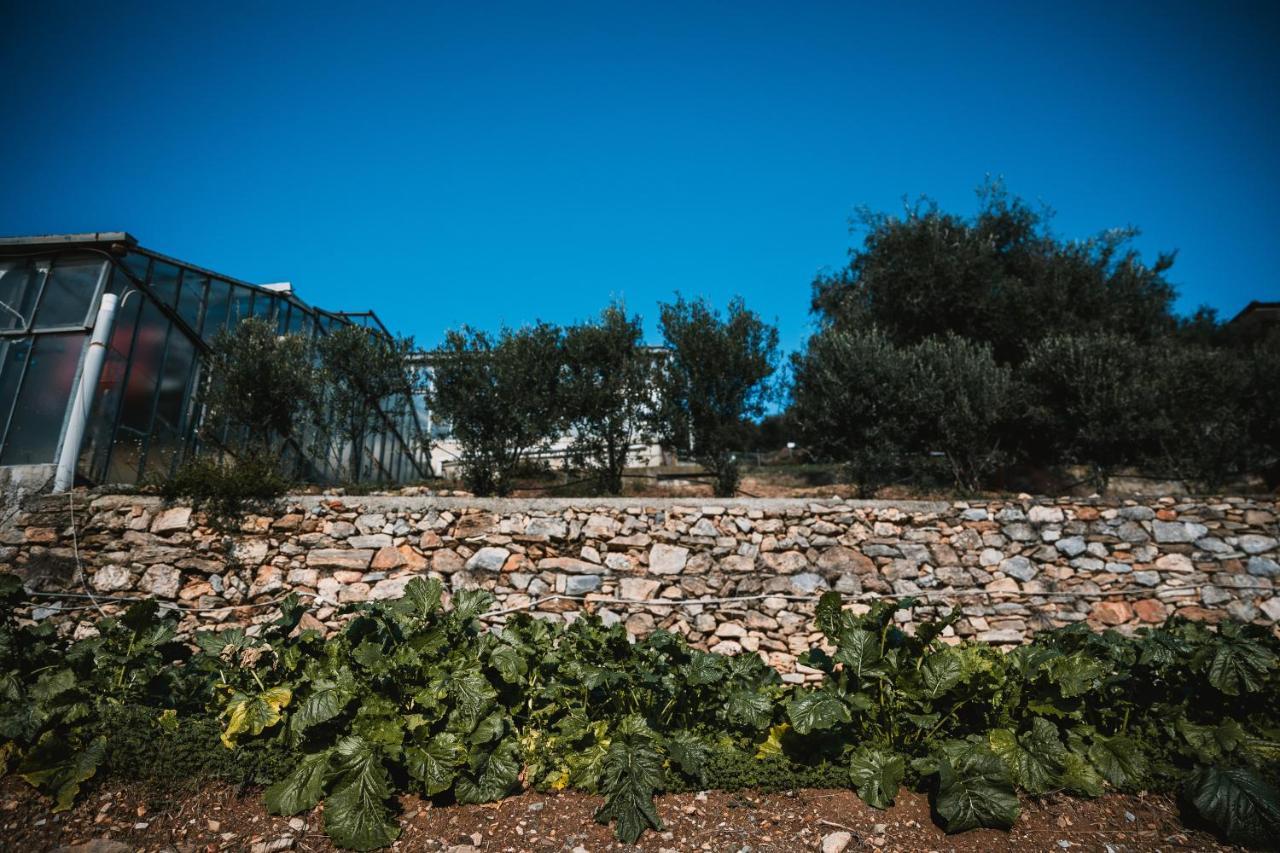 Agriturismo Rose Di Pietra Pietra Ligure Eksteriør billede