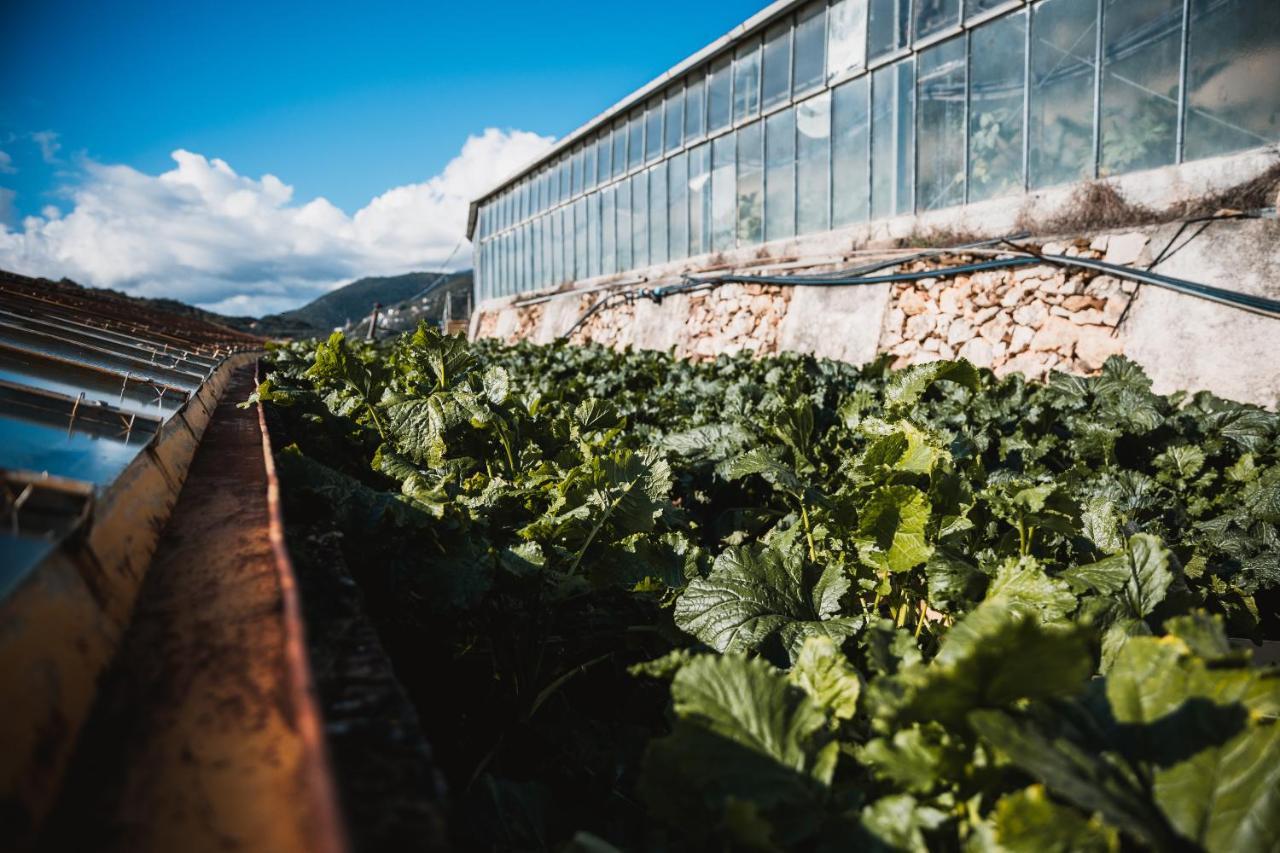 Agriturismo Rose Di Pietra Pietra Ligure Eksteriør billede